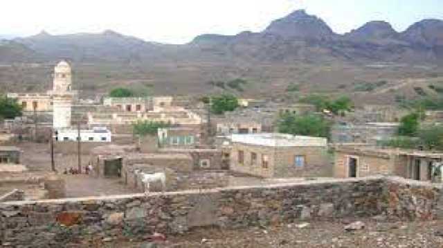 العثور على جثة فتى معلقة في شجرة بمحافظة لحج .. بعد ساعات من حادثة مماثلة في تعز!!