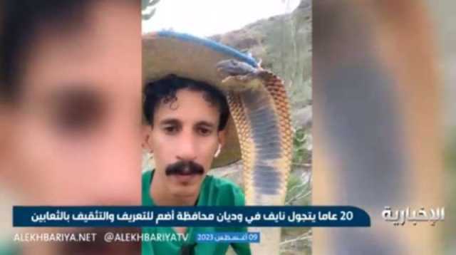 مغامر سعودي يبحث عن الثعابين منذ 20 عاما ويتعرض للدغة ”خطيرة” غيرت شكل يده بالكامل ”فيديو”