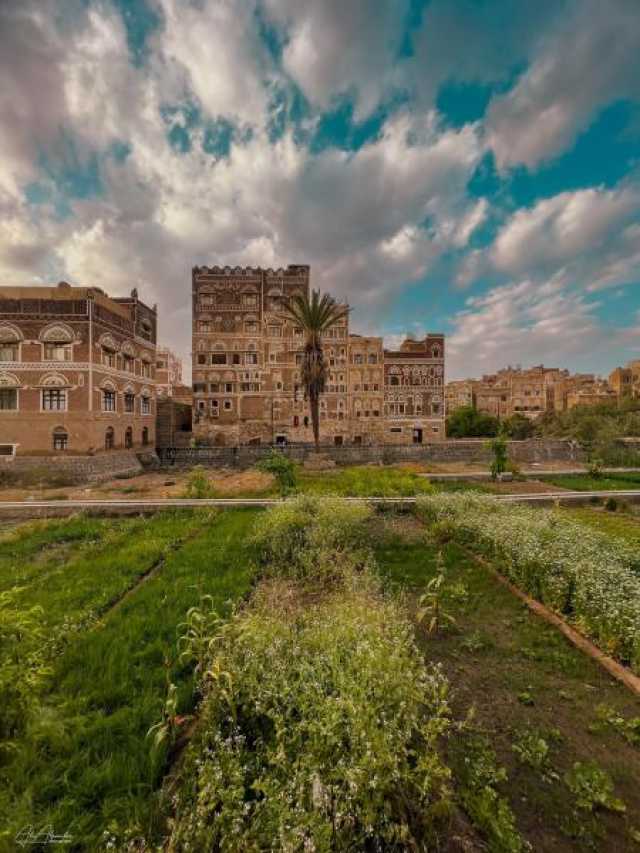 رسميا..الحكومة اليمنية تكشف عن انفراجة في صنعاء والمحافظات