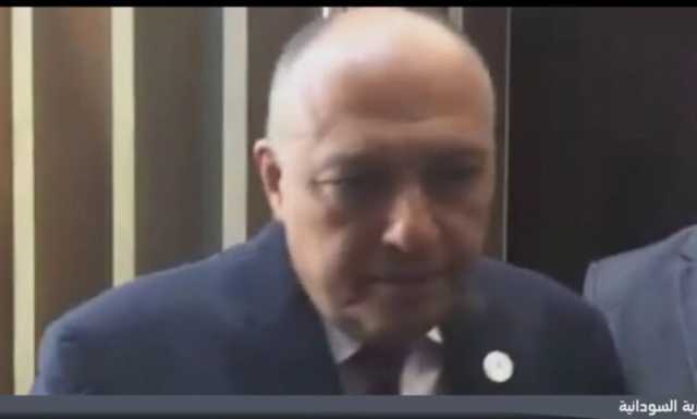 وزير الخارجية المصري: نركز جهودنا على رعاية مصالح السودانيين والمحافظة على المؤسسات
