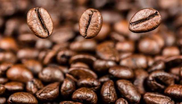 البن.. أحد أهم مصادر الدخل القومي في إثيوبيا