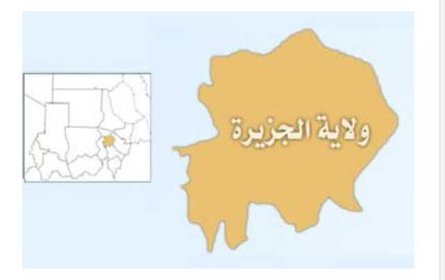 استنفار ١٠ آلاف شاب لدعم القوات المسلحة بشرق الجزيرة