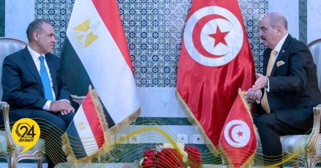 وزيرا خارجية مصر وتونس يتمسكان بدعم مسار الحل الليبي- الليبي