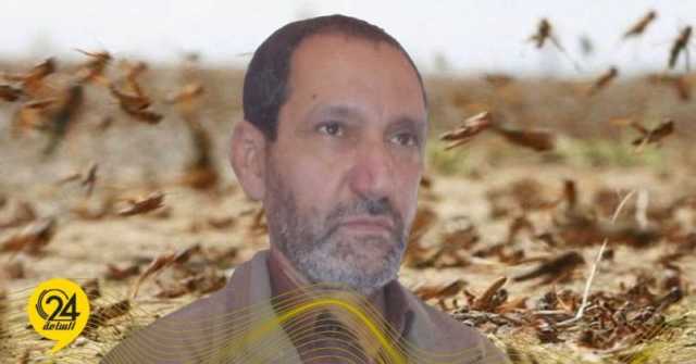 البريكي: تجاهل مكافحة الجراد قد يؤدي إلى كارثة زراعية تهدد الأمن الغذائي