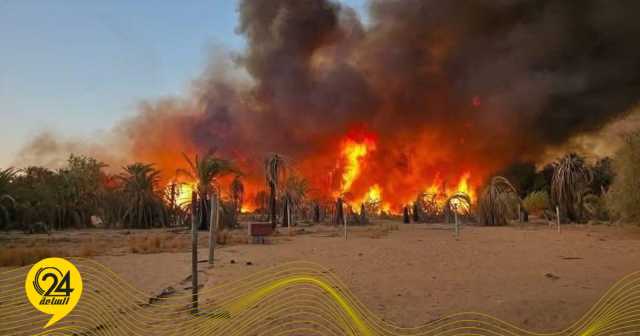 خبير بيئي: المناخ وحده لا يفسر حجم حرائق نخيل الكفرة