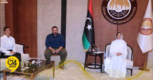 نائب مقرر مجلس النواب تلتقي مستشارة الأمن الإنساني بالسفارة السويسرية