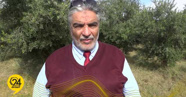 الحويج: العمالة الوافدة تتحكم في سوق الخضروات وتستخدم الأسمدة الممنوعة دوليًا