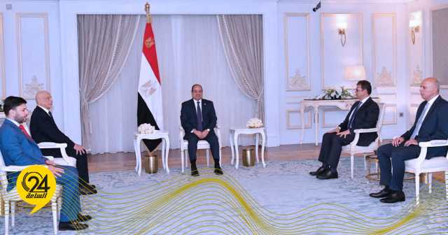 الرئيس المصري يبحث مع رئيس مجلس النواب تطورات الأوضاع في ليبيا 
