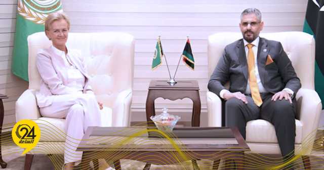ثابت: ناقشتُ سفيرة الاتحاد الأوروبي بالقاهرة الملفات السياسية والاقتصادية