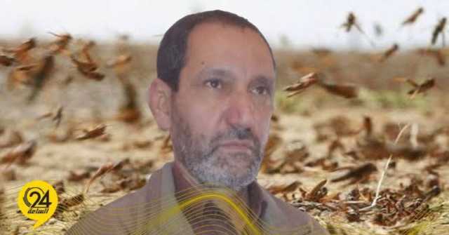 البريكي يحذر من كارثة وشيكة بسبب انتشار أسراب الجراد في الجنوب الليبي