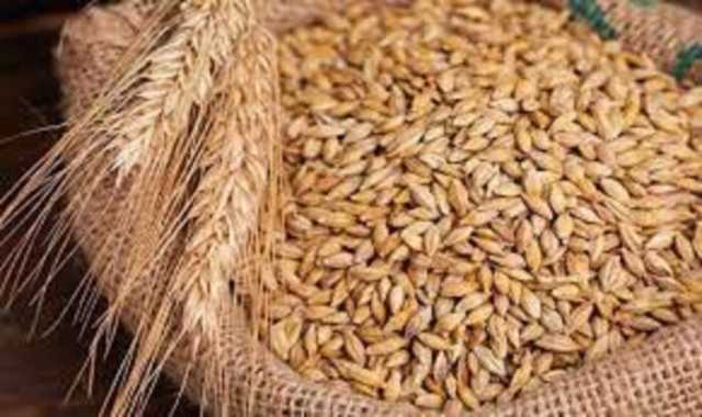 سعر الأرز الشعير اليوم الإثنين 9 يونيو 2025