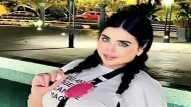 قرار قضائي بحبس البلوجر روكي أحمد وغرامة 100 ألف