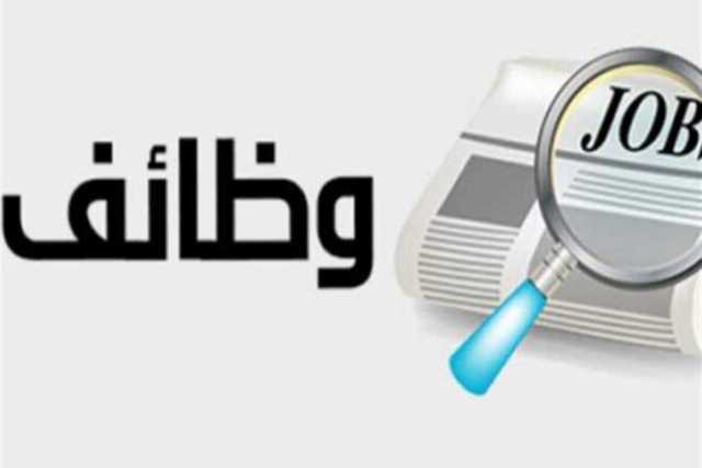 وزارة الشباب والرياضة توفر وظائف جديدة.. الشروط والمميزات وكيفية التقديم