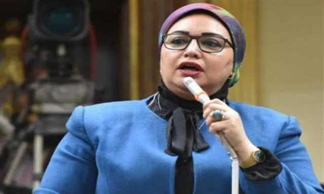 «نائبة»: القيادة السياسية كانت حريصة بالتوجيه لإصدار مشروع قانون العمل الجديد