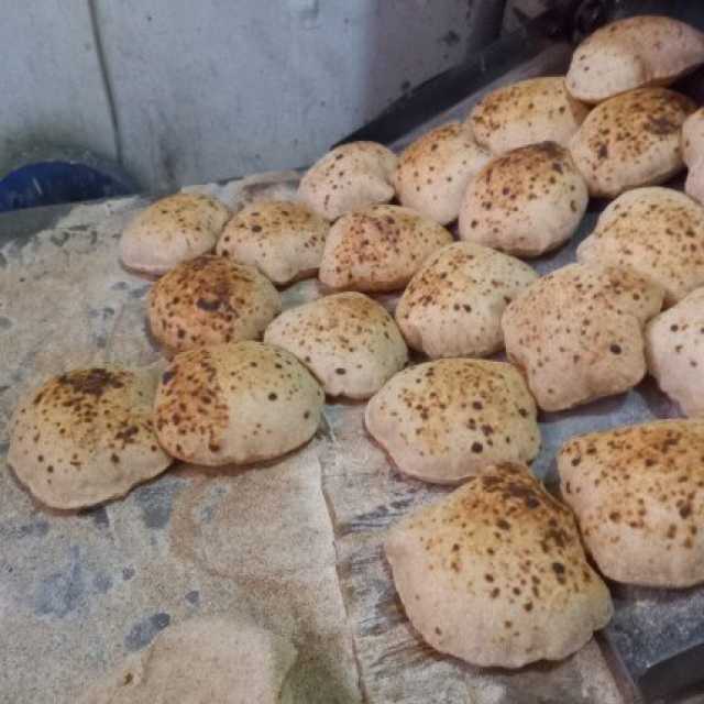 خلال 3 أيام.. تحرير 476 محضرًا للمخابز والمستودعات بالقليوبية