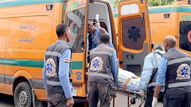 الدم بقا ميه.. مقتل مسنة على يد حفيدتها بالشرقية