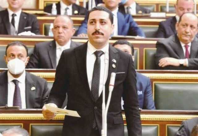 برلماني: قمة الرئيس السيسي والعاهل الأردني تؤكد الموقف الثابت الرافض للتهجير القسري للفلسطينيين