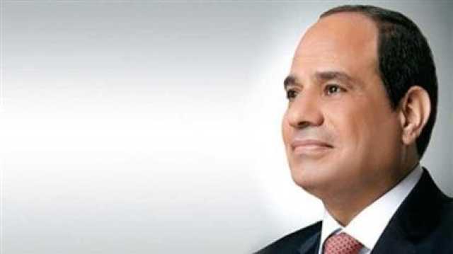 الرئيس السيسي يؤكد استمرار جهود مصر للتوصل لوقف إطلاق النار في غزة ولبنان