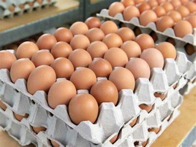 انخفاض كبير في أسعار البيض قبل شم النسيم.. والشعبة: هناك وفرة في المعروض
