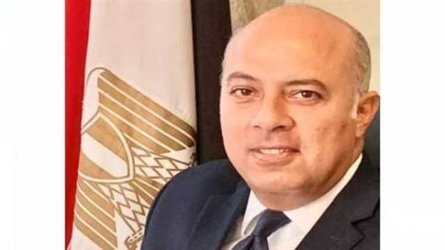 تعيين السفير محمد الشناوي متحدثا رسميا لرئاسة الجمهورية