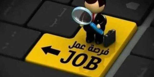 براتب 4000 دولار شهريا.. «العمل» تعلن عن فرص عمل للمصريين بالخارج