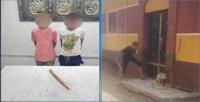 ملابسات فيديو التعدي على كلب بالضرب في أطفيح