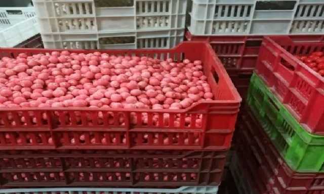 ضبط 180 ألف قطعة حلوى أطفال محظور تداولها ومجهولة المصدر بالشرقية