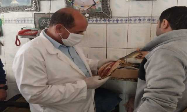 ضبط 8.5 طن أسماك غير صالحة في حملات مكثفة لمديرية الطب البيطري بالغربية استعدادًا لأعياد الربيع