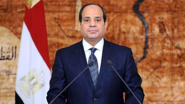 الرئيس السيسي يؤكد أهمية الاقتداء بالإمام السيوطي كنموذج يحتذى به