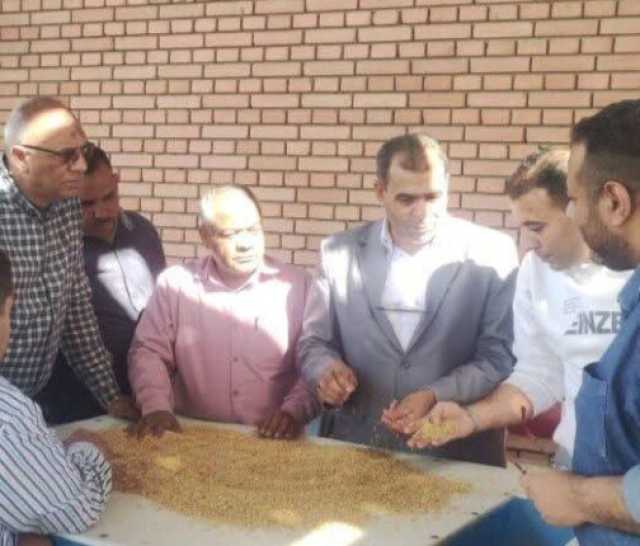 المنيا تستقبل 1726 طناً من القمح مع انطلاق موسم الحصاد لعام 2025