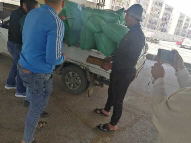 بورسعيد تواصل حصاد «الذهب الأصفر».. توريد أكثر من 173 طن قمح اليوم