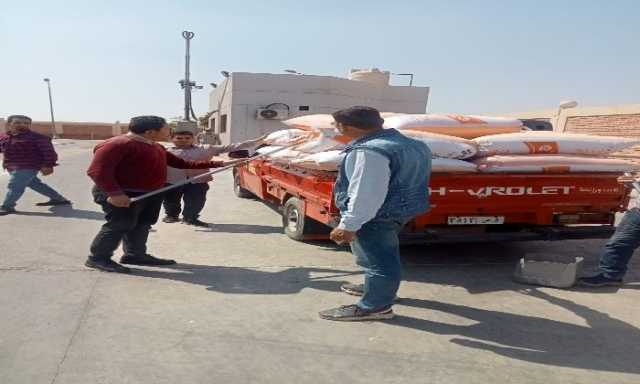 الجيزة تواصل جهودها لضمان نجاح موسم توريد القمح