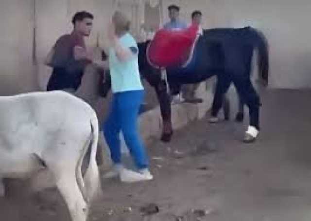 أجنبية تتدخل لإنقاذ حمار.. الداخلية تكشف الكواليس (فيديو)