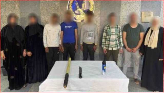 حرق الكلب أشعل السوشيال ميديا.. معاكسة سيدة تتسبب في معركة عنيفة بشوارع القليوبية
