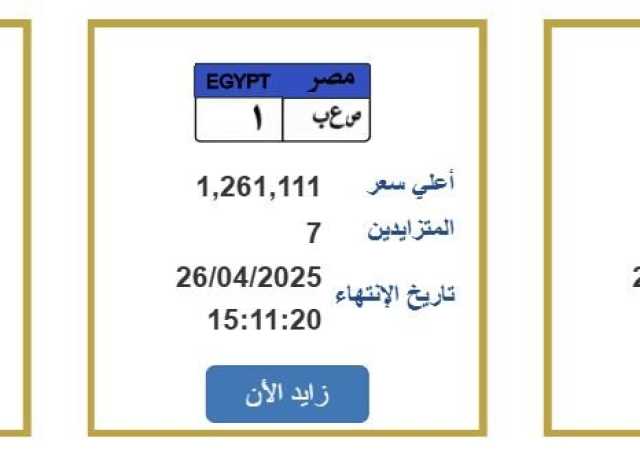 سعرها مليون و120 ألف جنيه.. طرح لوحة معدنية مميزة يتزايد عليها 7 أشخاص