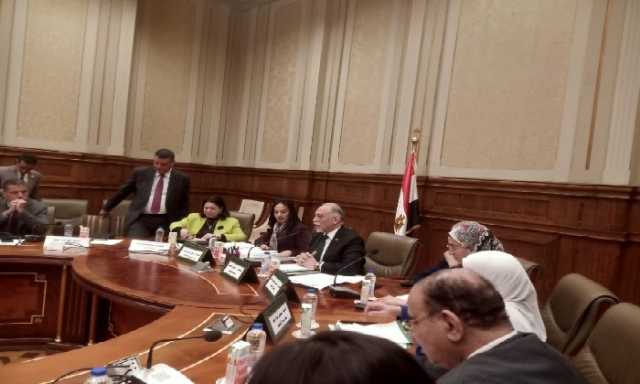 رئيس «تضامن النواب»: الرئيس السيسي وجه الدعم الكامل للمواطن لأنه أمن قومي.. والدساتير المصرية تنص على دعمه