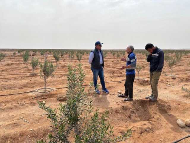 «بحوث الصحراء» يواصل المرور الميداني على التجمعات الزراعية بشمال ووسط سيناء لدعم المزارعين