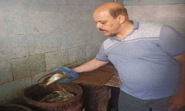 محافظة الإسكندرية تشن حملات رقابية مكثفة على أسواق الأسماك