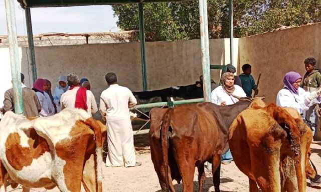 الكشف على 1500 حالة بقافلة بيطرية مجانية لجامعة المنوفية بقرية البتانون