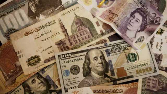 البنك المركزي: 48.526 مليار دولار صافي احتياطي النقد الأجنبي في مصر بنهاية مايو