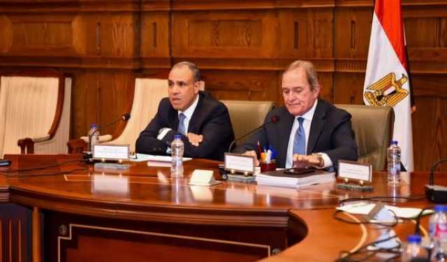 وزير الخارجية: الرئيس السيسي يولي اهتمامًا كبيرًا بتوفير حياة كريمة للمواطن