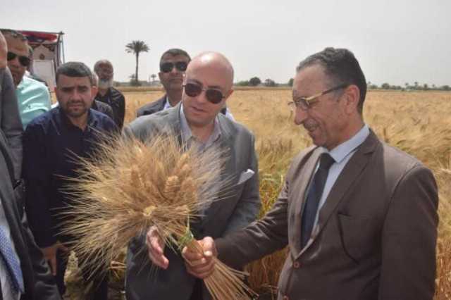 بني سويف تطلق موسم حصاد القمح بـ 108 آلاف فدان وتستهدف الاكتفاء الذاتي