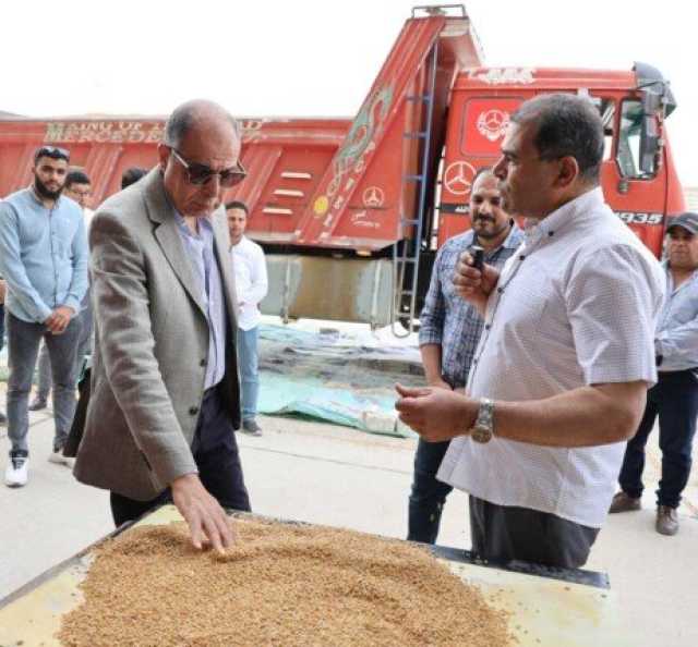 المنيا تتصدر محافظات الجمهورية في التوريد بإجمالي 38 ألف طن حتى الآن