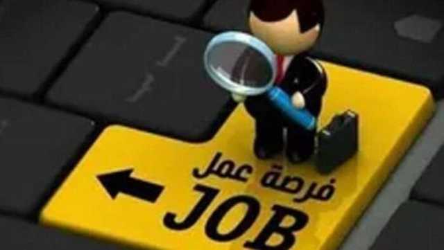 وظائف صندوق مكافحة وعلاج الإدمان.. لينك وخطوات التقديم