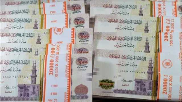 «قبل اجتماع المركزي المصري».. بنكا HSBC وQNB الأهلي يخفضان سعر الفائدة
