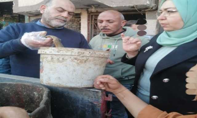 ضبط 400 كجم سردين مملح غير صالح للاستهلاك بالمنوفية