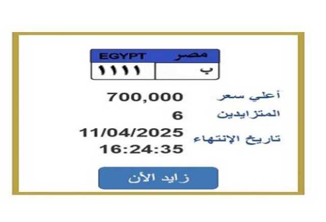 سعرها وصل 700 ألف جنيه.. تزايد ناري على لوحة سيارة مميزة «اعرف الخطوات»