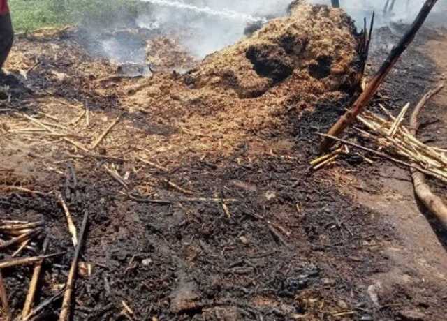 بعد احتراق 20 قيراطًا.. إخماد حريق محدود في أرض محصول قمح بالمنيا