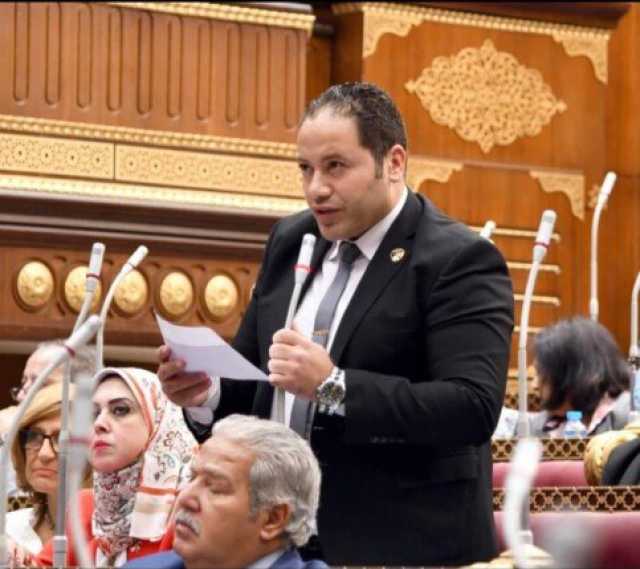 عضو بالشيوخ: قطاع الأعمال العام أحد الأعمدة المهمة في الاقتصاد الوطني