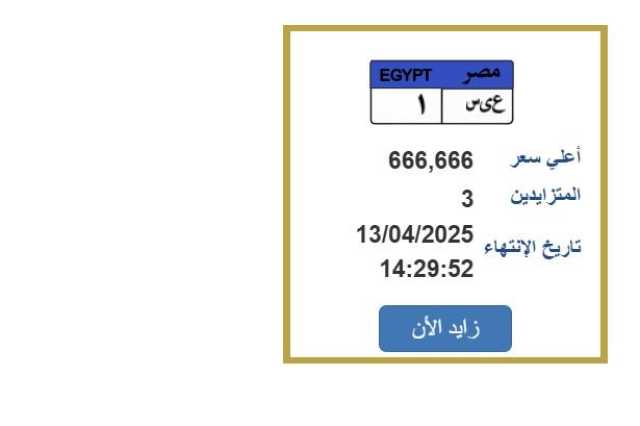بـ 666 ألف جنيه.. مزايدة نارية على لوحة سيارة مميزة «اعرف الخطوات»